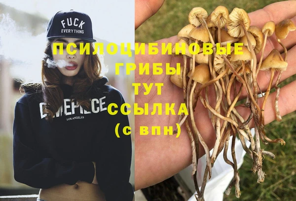 ALPHA-PVP Алексин
