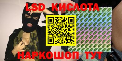 индика Пенза