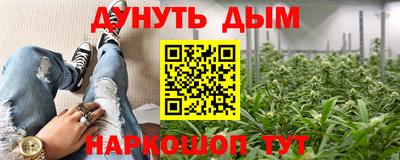 индика Пенза