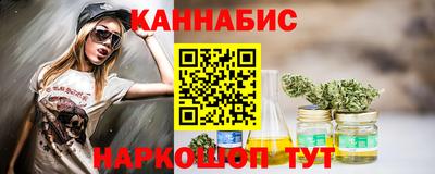 индика Пенза