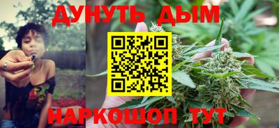индика Пенза
