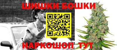 индика Пенза