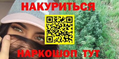индика Пенза