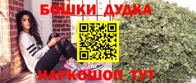 индика Пенза