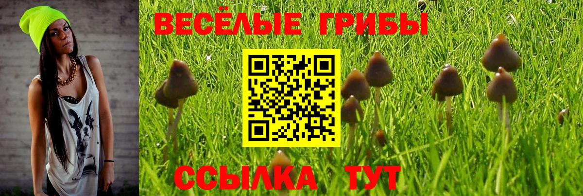 Галлюциногенные грибы GOLDEN TEACHER Тара
