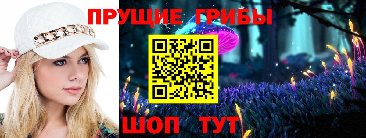 Псилоцибиновые грибы GOLDEN TEACHER  Вход с VPN  Тара 
